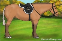 Horse Color:Silver Bay 