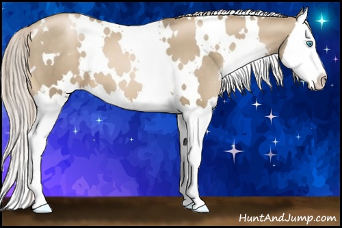 Horse Color: White Spotted Chocolate Palomino Pearl Splash 