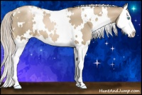 Horse Color:White Spotted Chocolate Palomino Pearl Splash