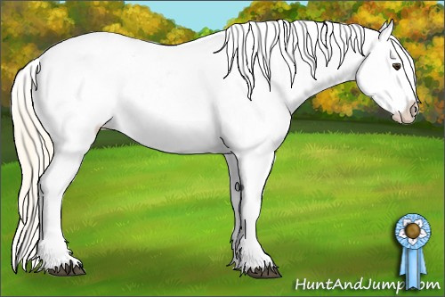 Horse Color: Palomino Sabino Blanket 