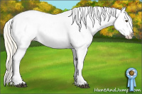 Horse Color:Palomino Sabino Blanket 