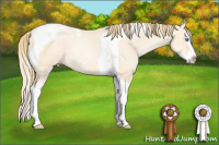 Horse Color:Smoky Grullo Roan Pearl Splash Tobiano
