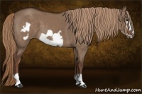 Horse Color:Liver Red Dun Frame 