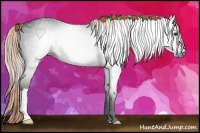 Horse Color:Gray Liver Chestnut