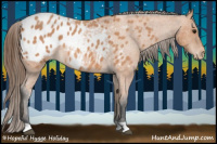 Horse Color:Bay Roan Appaloosa