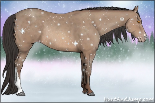 Horse Color: Sable Champagne Rabicano 