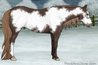 Horse Color:Liver Chestnut Frame 