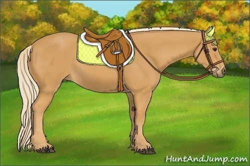 Horse Color:Palomino 