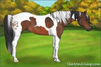Horse Color:Bay Tobiano 