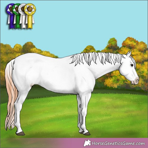 Horse Color: Bay Roan Dun Blanket 