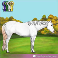 Horse Color:Bay Roan Dun Appaloosa 