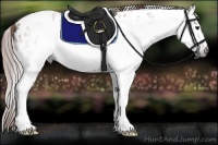 Horse Color:Gray Chestnut Tobiano Leopard 
