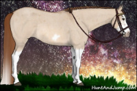 Horse Color:Red Dun Roan Splash Frame Rabicano