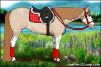 Horse Color:Red Dun Roan Splash Frame Rabicano 