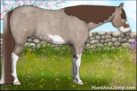 Horse Color:Liver Red Dun Roan Splash Frame Rabicano 