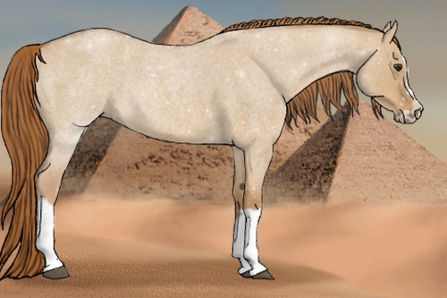 Horse Color: Red Dun Roan Splash Frame Rabicano 