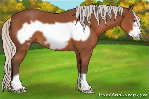 Horse Color: Silver Bay Frame 