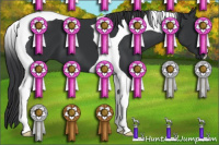 Horse Color:Black Tobiano 