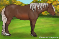 Horse Color:Silver Brown 