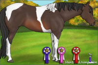 Horse Color:Bay Tobiano 