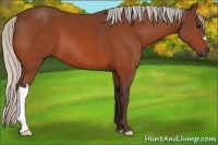 Horse Color:Silver Bay