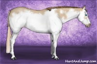Horse Color:Red Dun Roan Splash Frame Rabicano 