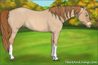 Horse Color:Red Dun Roan Splash Frame Rabicano 