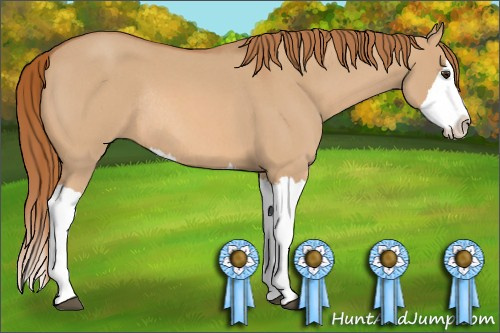 Horse Color: Red Dun Roan Splash Rabicano 