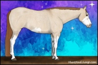 Horse Color:Red Dun Roan Splash Frame Rabicano 