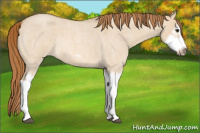 Horse Color:Red Dun Roan Splash Frame Rabicano 