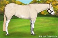 Horse Color:Red Dun Roan Splash Frame Rabicano 