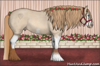 Horse Color:Red Dun Roan Splash Frame Rabicano 
