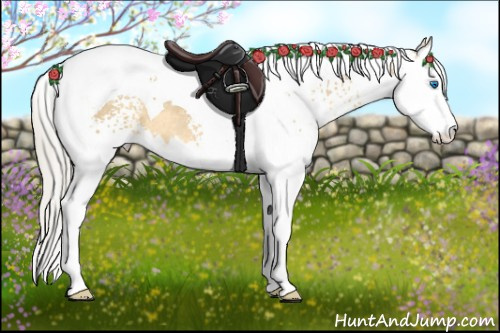 Horse Color: White Spotted Silver Buckskin Dun Splash Tobiano 