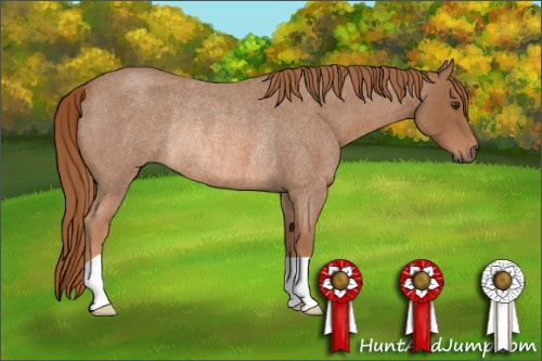 Horse Color: Red Roan Rabicano 