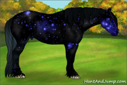 Horse Color: ERROR: UNKNOWN ANOMALY