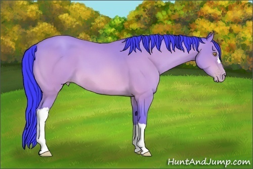 Horse Color: Watercolor Amber Champagne 