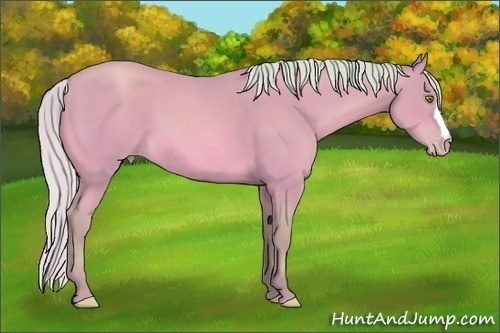 Horse Color: Watercolor Silver Amber Champagne 
