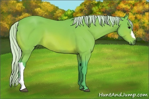 Horse Color: Watercolor Silver Bay 