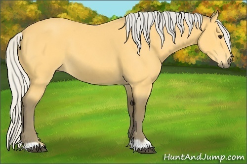 Horse Color: Silver Buckskin 