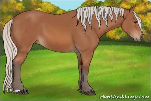 Horse Color: Silver Bay 