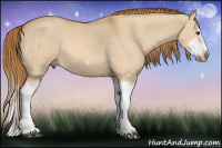 Horse Color:Red Dun Roan Splash Frame Rabicano 