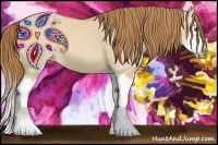 Horse Color:Red Dun Roan Splash Frame Rabicano 