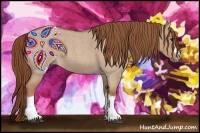 Horse Color:Red Dun Roan Splash Frame Rabicano 