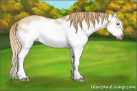 Horse Color:Red Dun Roan Splash Frame Rabicano 