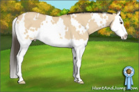 Horse Color:White Spotted Buckskin Dun Splash 