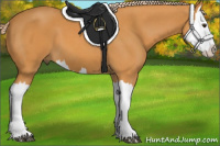 Horse Color:Chocolate Palomino Splash