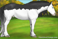 Horse Color:Brown Splash