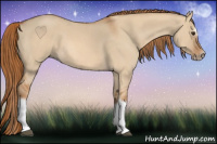 Horse Color:Red Dun Roan Splash Frame Rabicano 