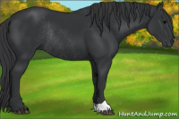 Horse Color:Brown Rabicano 
