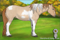 Horse Color:Red Dun Roan Splash Tobiano Frame Rabicano 